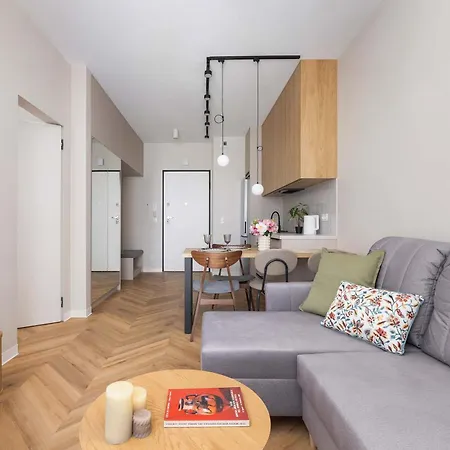 Stylish In A Modern Development 800 M From Spodek By Renters Katowice