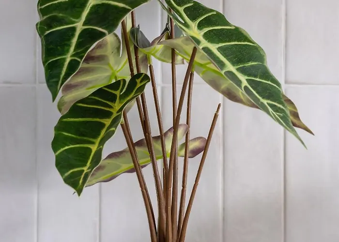 Stylish In A Modern Development 800 M From Spodek By Renters Апартаменты Катовице